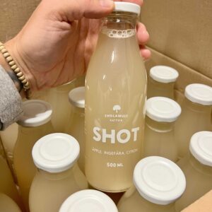 Äpple/Ingefära/Citron Shot 50cl